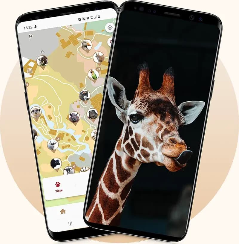 App in den Zoo