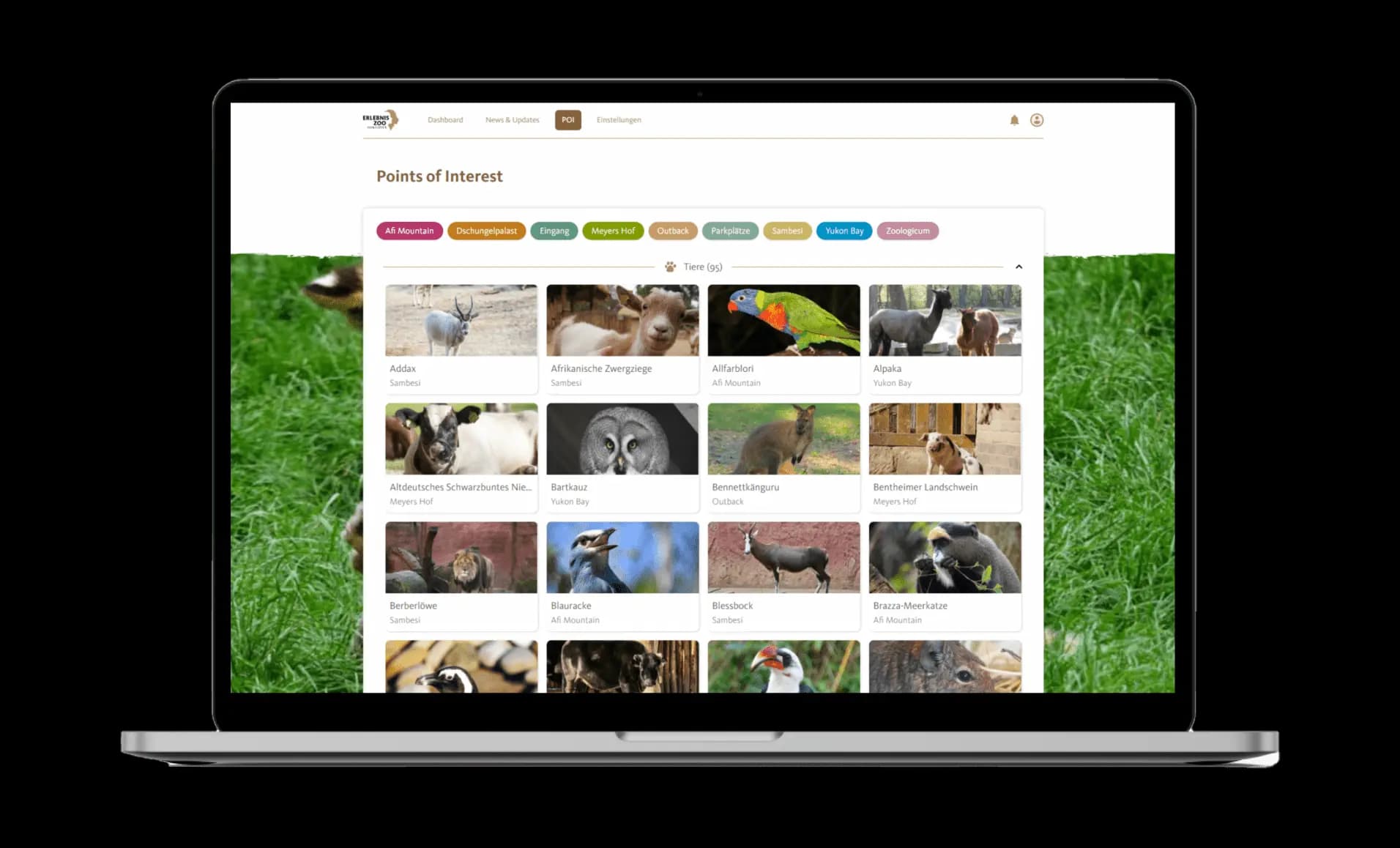 Zoo App Backoffice