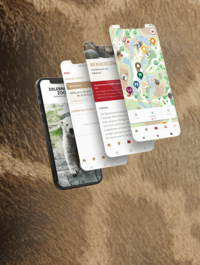 Zoo App Card