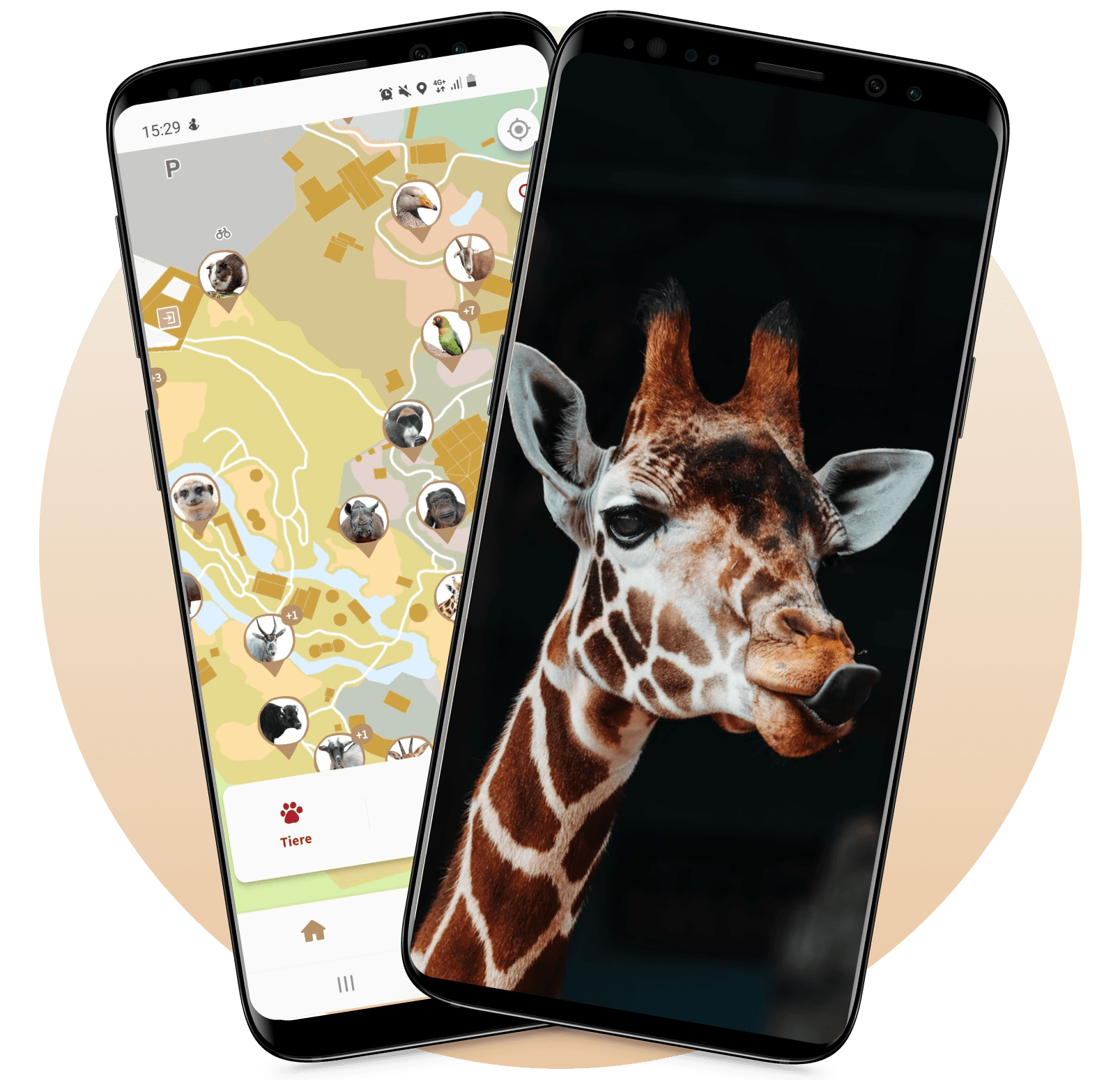 App in den Zoo!