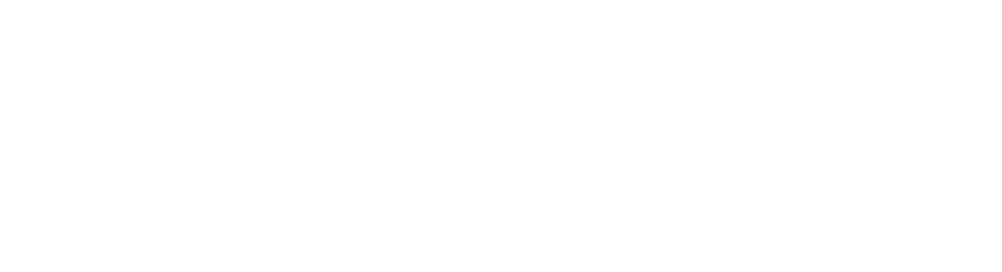 Fliegl Logo in Weiss