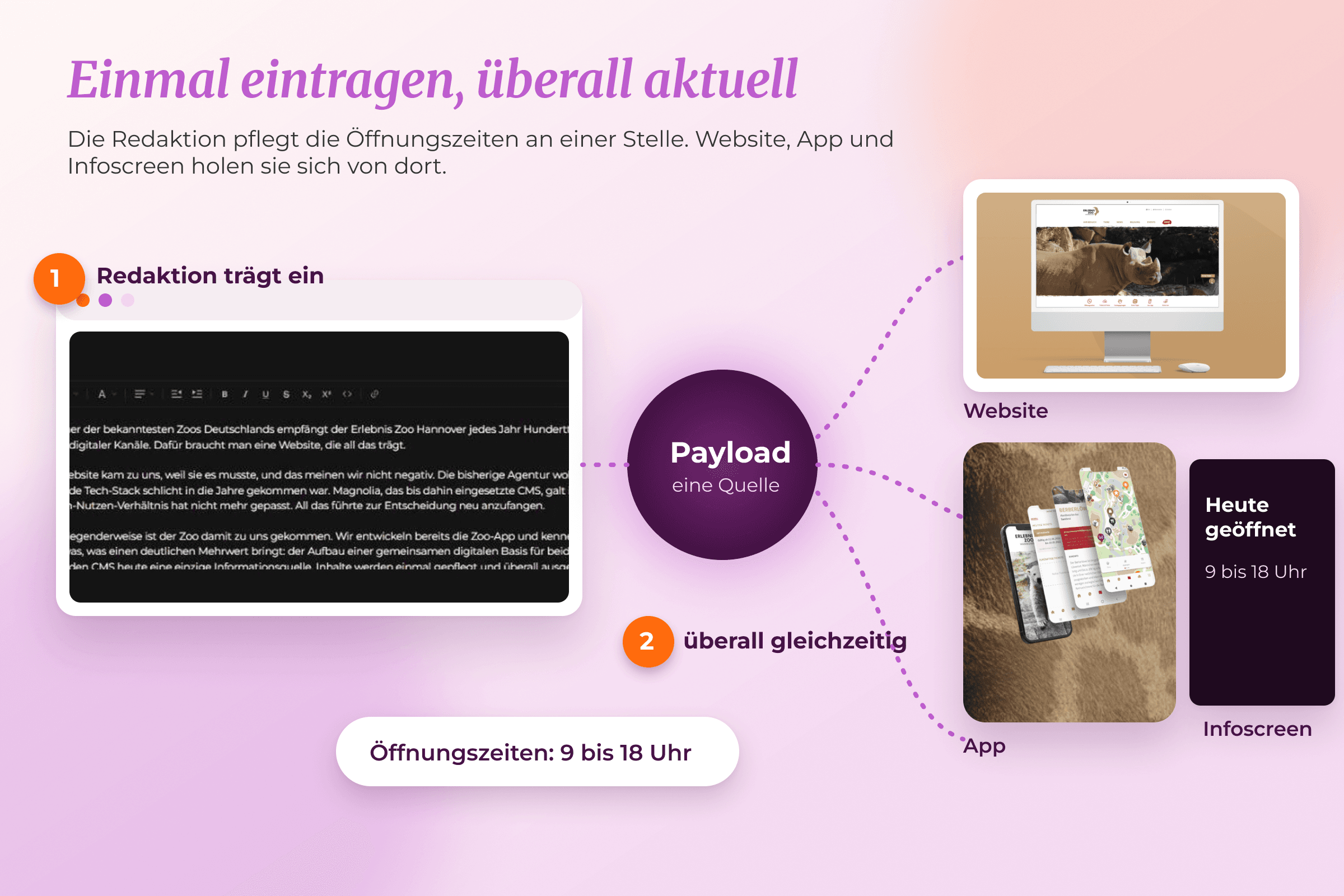 Schaubild: Einmal eintragen, überall aktuell. Die Redaktion pflegt die Öffnungszeiten im Payload-Editor, Website, App und Infoscreen zeigen sie gleichzeitig an