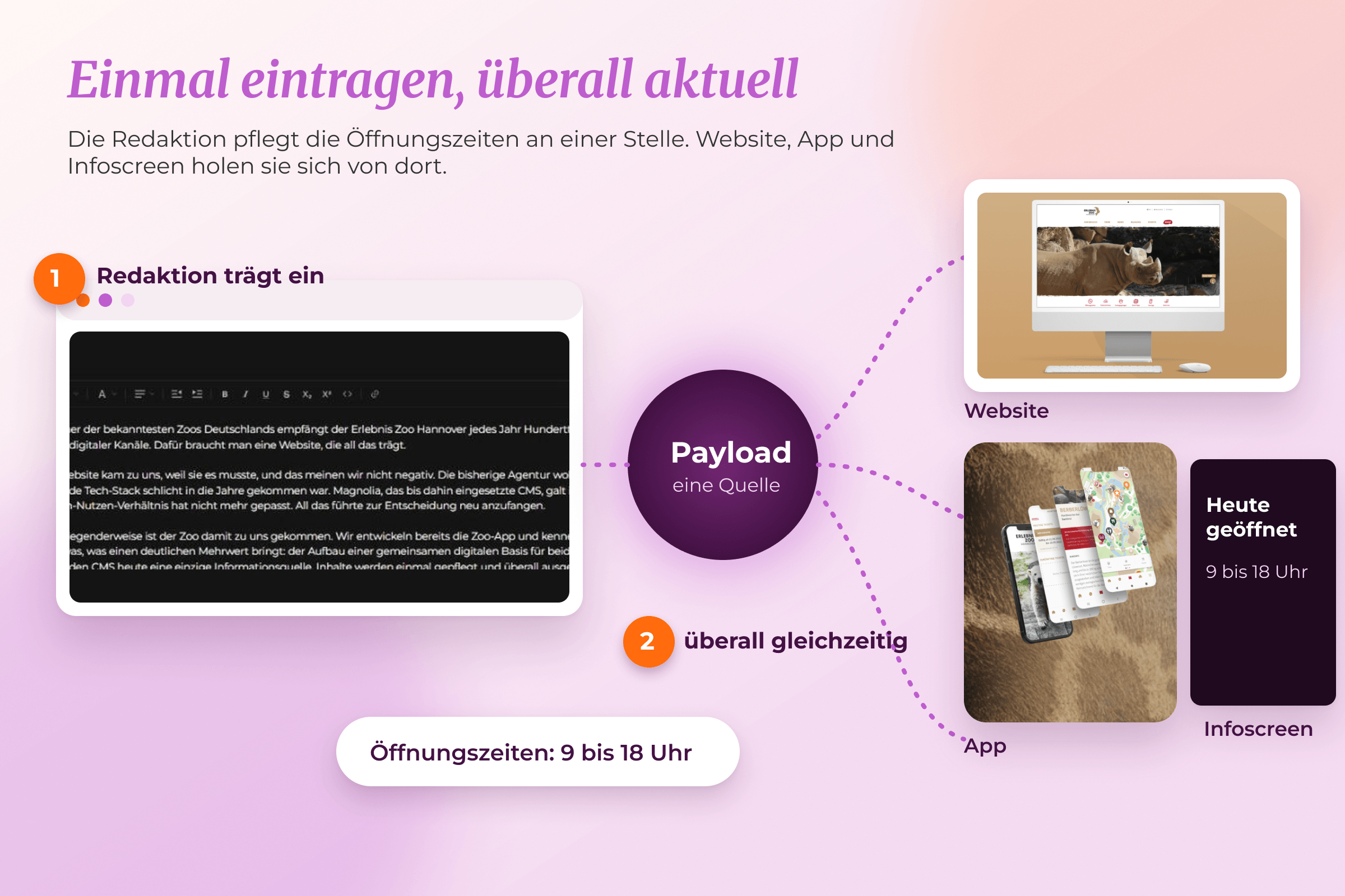 Schaubild: Einmal eintragen, überall aktuell. Die Redaktion pflegt die Öffnungszeiten im Payload-Editor, Website, App und Infoscreen zeigen sie gleichzeitig an