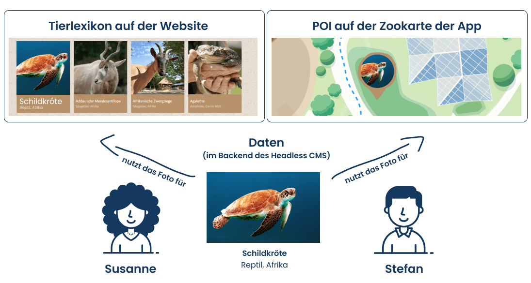 Susanne und Stefan nutzen dasselbe Schildkrötenfoto aus dem Headless CMS für Website und App