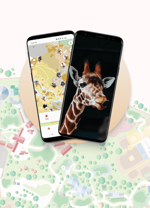 App in den Zoo: Apps für Zoos und Freizeitparks