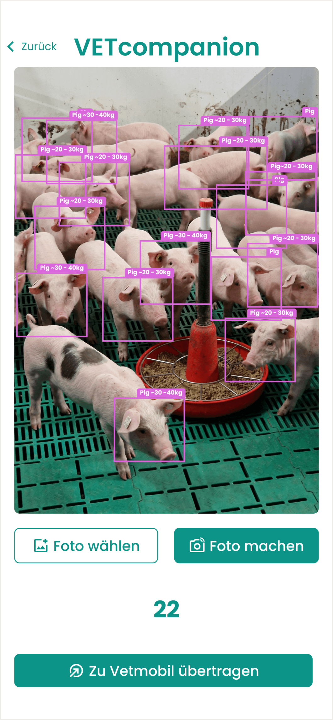 Schweine zählen in der VETCompanion App